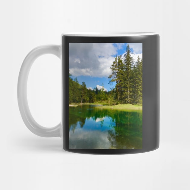 Mountain Lake with Forest and Clouds by ephotocard